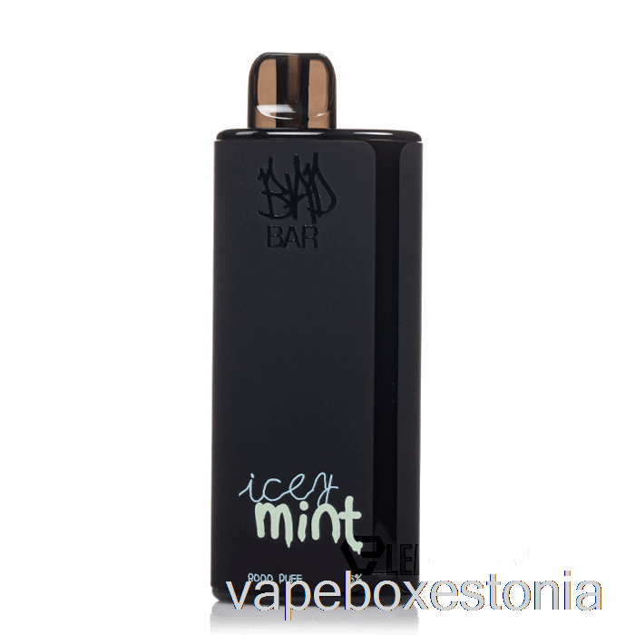 Vape Box Estonia Bad Bar 8000 ühekordne Icey Mint